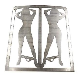 HTTMT MT298-06 Radiator Grille Guard Cover Protector Sexy Compatible with Banshee Grill 1986-2007