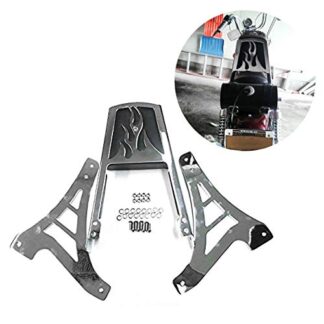 Htt groupe Moto Chromé Flamme dossier Sissy Bar avec pad en cuir pour 1995–2003 Harley Davidson Sportster 883 Xl883 1200 Xl1200