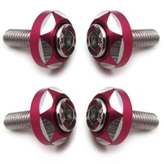 XHT(BC)- 4Pcs 6mm Thread Dia Aluminum Alloy Decorative License Plate Bolt Screw Compatible with Most Car Motorcycle [P/N: XHT215-021]